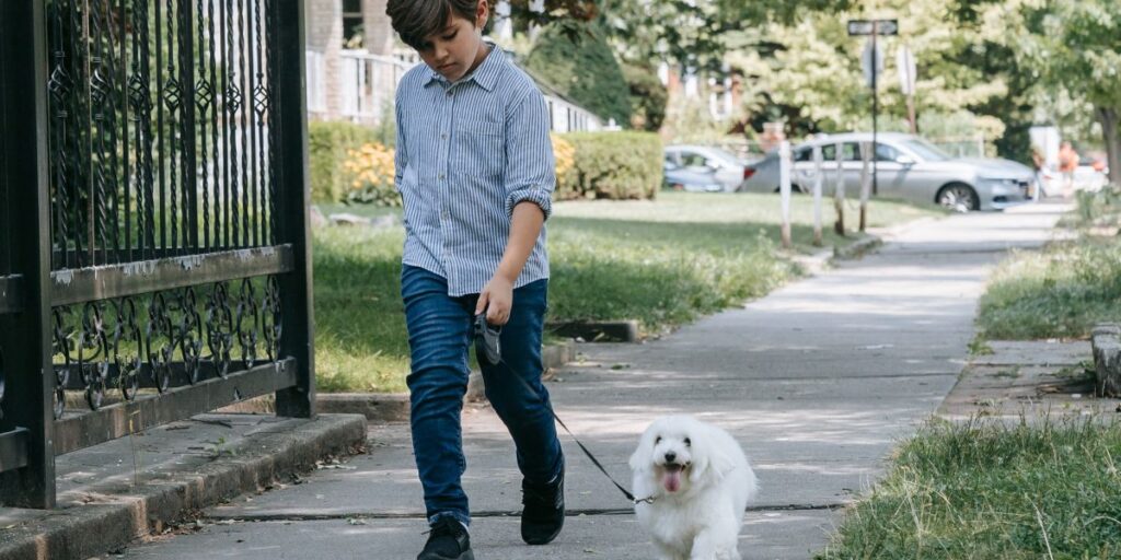 Koliko vežbe je potrebno maltezeru